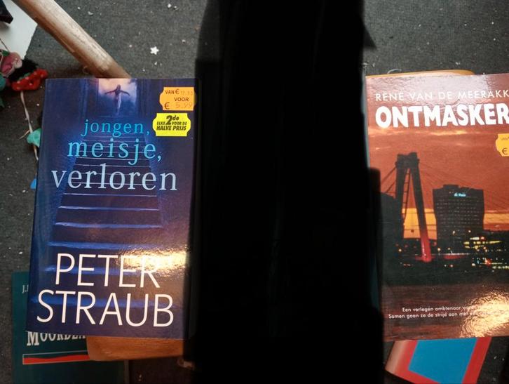 2 Boeken (30), Boeken, Thrillers, Zo goed als nieuw, Ophalen of Verzenden