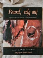 Paard volg mij, Gawani Pony Boy, Ophalen of Verzenden, Gelezen, Paarden of Pony's