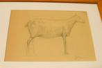 Prent /Tekening van een schaap 45940, Ophalen of Verzenden, Ongelopen, Hond of Kat