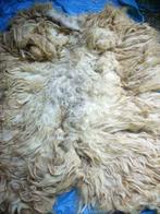 schapenvachten vachtvilten wol schapenwol vachten vilt, Ophalen of Verzenden, Nieuw, Materiaal