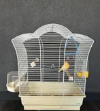 Fraaie oranje kanarie + Ferplast kooi + toebehoren, Dieren en Toebehoren, Vogels | Kanaries, Mannelijk, Kleurkanarie