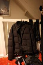 Pure White Jas - Mooie Prijs!, Kleding | Heren, Pure white, Pure white, Wit, Ophalen of Verzenden