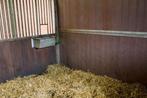 Stalling met grote weide te huur., Dieren en Toebehoren, Stalling en Weidegang, Stalling