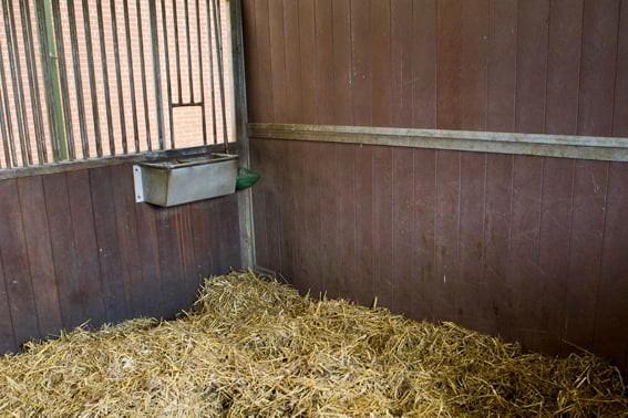 Stalling met grote weide te huur., Dieren en Toebehoren, Stalling en Weidegang, Stalling