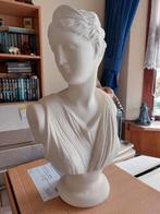 Buste vrouw, Ophalen of Verzenden, Zo goed als nieuw, Mens