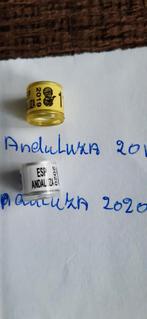 Duivenringen Spanje, Dieren en Toebehoren, Mannelijk