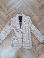 Jasje / vest van twenty three maat M, Ophalen of Verzenden, Nieuw, Maat 42/44 (L)