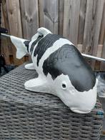 Betonnen koi., Karper of Koi