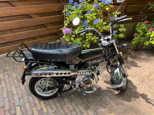 Skyteam Skymax 50 / Honda dax 73km!!!! / bromfiets camper, Fietsen en Brommers, Brommers | Overige merken, Zo goed als nieuw, Maximaal 45 km/u