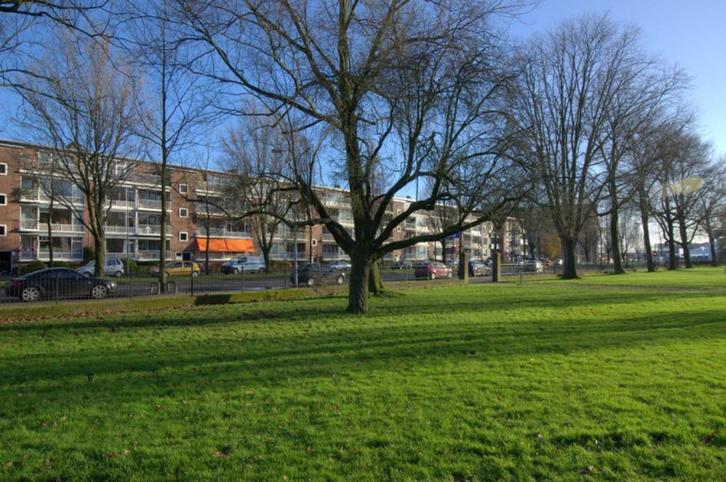 Ruim gestoffeerd beneden-appartement met tuin, Huizen en Kamers, Huizen te huur, Groningen, Benedenwoning, Direct bij eigenaar