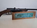 Flobert geweer 9 mm, Ophalen of Verzenden