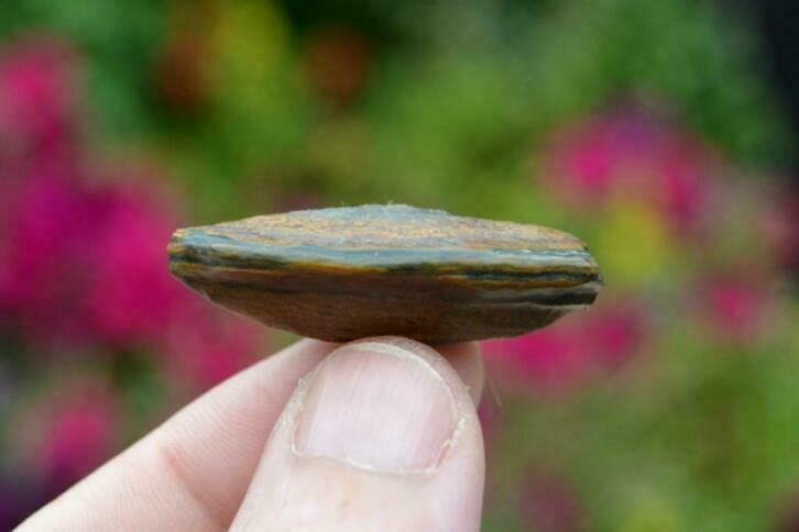 8. Banded Iron Stone, Sieraden, Tassen en Uiterlijk, Edelstenen, Nieuw, Ophalen of Verzenden