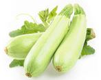 Courgette Haydamaka, Ophalen of Verzenden, Voorjaar, Volle zon, Zaad