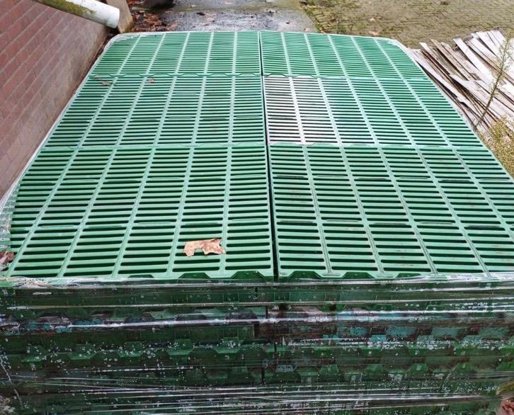 Roosters paddock, Dieren en Toebehoren, Stalling en Weidegang, Opfok, Stalling, Weidegang, Toebehoren, 4 paarden of pony's of meer