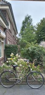 Damesfiets koga, Ophalen of Verzenden, Halfschaduw, Overige soorten, Minder dan 100 cm