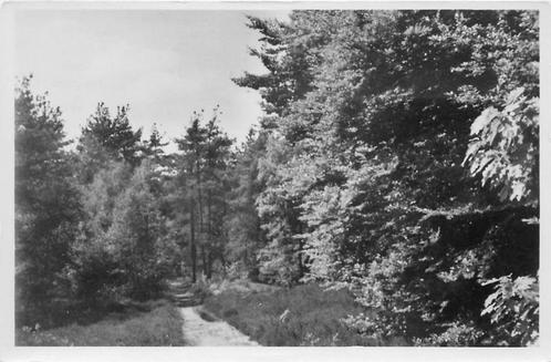 (387-083-031) Oosterbeek Wandeling, Verzamelen, Ansichtkaarten | Nederland, Verzenden