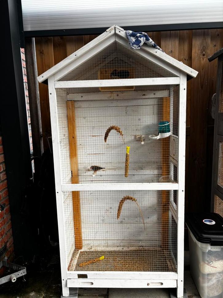 Voiliere, Dieren en Toebehoren, Vogels | Hokken en Kooien, Zo goed als nieuw, Vogelkooi, Hout, Ophalen of Verzenden
