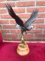 Weens brons, adelaar in de vlucht, Antiek en Kunst, Ophalen of Verzenden, Brons