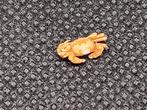 Mini Krab Gedroogd(?), Verzamelen, Dierenverzamelingen, Ophalen of Verzenden, Gebruikt, Overige soorten, Opgezet dier