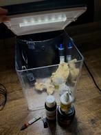 Aquarium klein, Dieren en Toebehoren, Vissen | Aquaria en Toebehoren, Ophalen, Zo goed als nieuw, Leeg aquarium