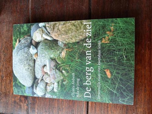 Christa Anbeek - De berg van de ziel, Boeken, Filosofie, Zo goed als nieuw, Ophalen of Verzenden