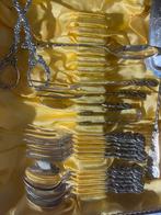 Antiek Bestekset in Originele Doos, Antiek en Kunst, Antiek | Bestek, Ophalen of Verzenden