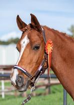 Te koop: D sportpony!, Dieren en Toebehoren, Pony's, Ruin, Dressuurpony, M, 11 jaar of ouder
