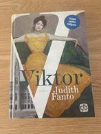 Viktor door Judith Fanto grote letter uitgave, Judith Fanto, Ophalen of Verzenden, Zo goed als nieuw