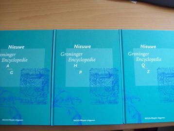 Nieuwe Groninger Encyclopedie (3-Delig) - K. ter Laan
