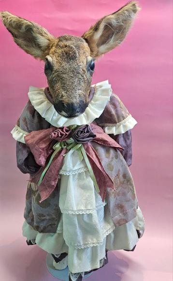Taxidermy grote pop Hert beschikbaar voor biedingen