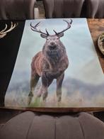 Poster van Hert - 70x100cm, 50 tot 75 cm, Ophalen of Verzenden, Zo goed als nieuw, 75 tot 100 cm