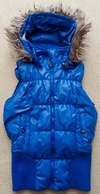 Bodywarmer kobalt blauw maat s cool cat jas bodywarmers, Coolcat, Maat 36 (S), Gedragen, Verzenden