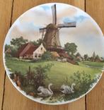 Hand gedecoreerd wandbord, diameter 25 cm Royal Schwabap., Ophalen of Verzenden