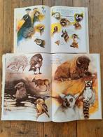 2 X ' De ark van Noach', Boeken, Prentenboeken en Plaatjesalbums, Ophalen of Verzenden, Zo goed als nieuw