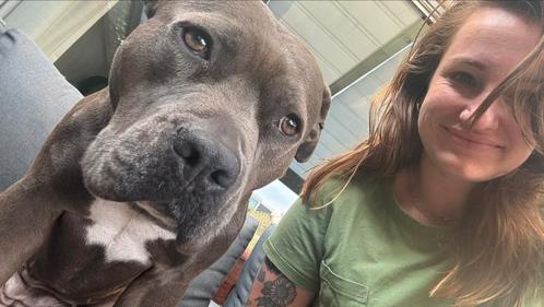 Ervaren en actieve dierenoppas/hondenoppas - almere 🐕 🐈‍⬛, Diensten en Vakmensen, Dieren | Honden | Verzorging, Oppas en Les