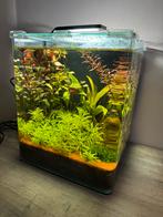 Denerle Nano Aquarium - Jouw Persoonlijke Onderwaterwereld, Ophalen, Gebruikt, Gevuld zoetwateraquarium