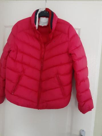Tommy Hilfiger jas maat 164 - Cherise beschikbaar voor biedingen