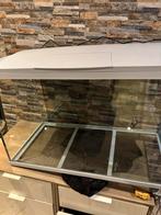 Aquarium 75cm 2 mnd oud helemaal compleet, Dieren en Toebehoren, Ophalen, Zo goed als nieuw