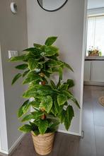 Kunstplant/Boom 100cm - Realistisch & Veelzijdig, Huis en Inrichting, Kamerplanten, Ophalen of Verzenden