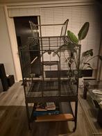 Vogelkooi Medeira 2 Antique – In mooie staat, Ophalen, Zo goed als nieuw, Metaal, Vogelkooi