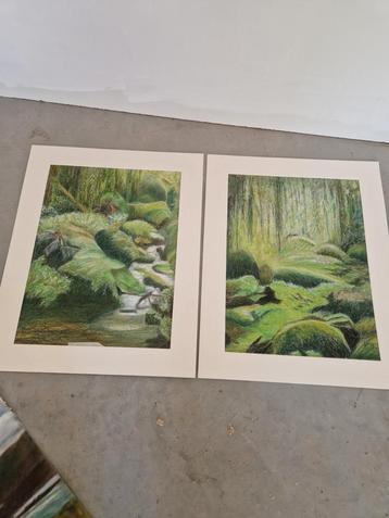 2 pastel tekeningen natuur bos beschikbaar voor biedingen