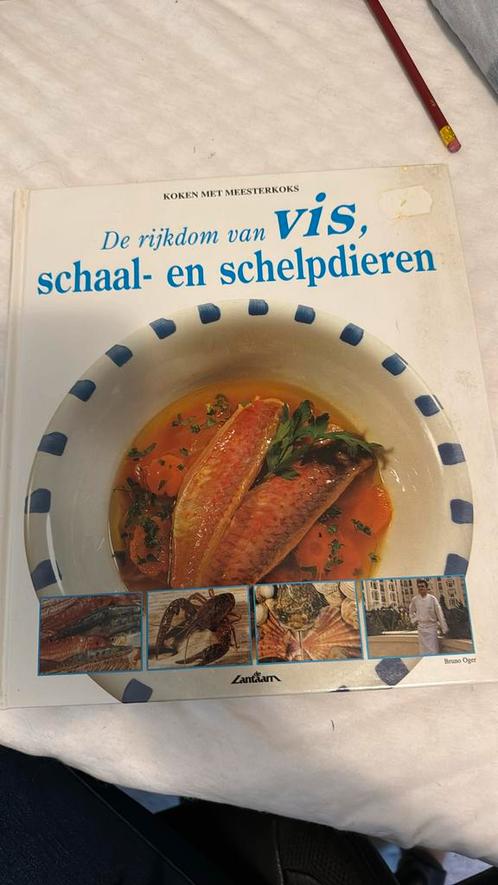 B. Oger - De rijkdom van vis, schaal- en schelpdieren, Boeken, Kookboeken, Zo goed als nieuw, Ophalen of Verzenden