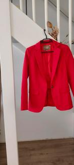 Given blazer, Kleding | Dames, Ophalen of Verzenden, Nieuw, Maat 34 (XS) of kleiner