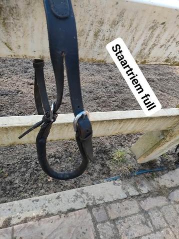 Staartriem maat Full beschikbaar voor biedingen