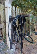 Mentuig shetlander, Dieren en Toebehoren, Ophalen of Verzenden, Gebruikt, Overige soorten