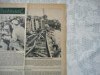 Rothem. Trein ontspoort. 1955., Verzenden, Gebruikt, Trein, Kaart of Prent