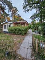 Heerlijke BOS CHALET met grote veranda op Flaasbloem Chaam, In bos, Noord-Brabant, 2 slaapkamers, Tuin