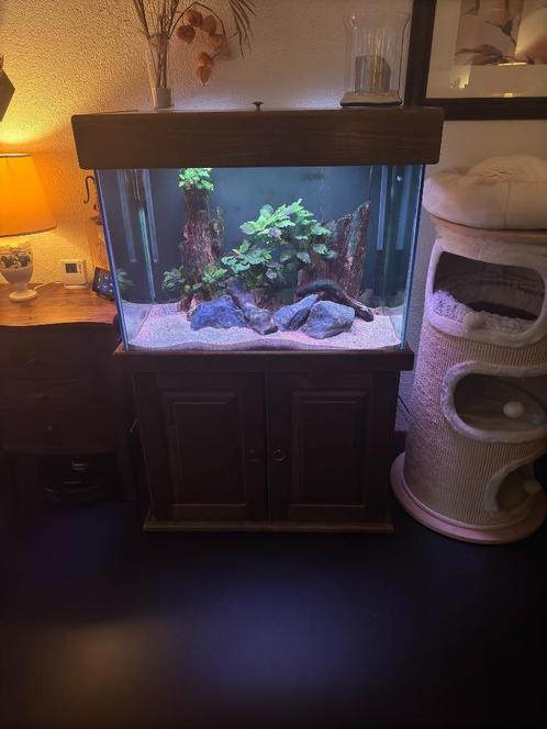 Aquarium met kast, Oase pomp en Dennerle co2 set, 2ledbalken, Dieren en Toebehoren, Vissen | Aquaria en Toebehoren, Gebruikt, Leeg aquarium