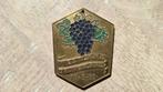 westland druivenland rally 1955 badge, Verzamelen, Automerken, Motoren en Formule 1, Ophalen of Verzenden, Auto's