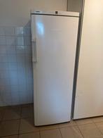 Liebherr vrieskast Comfort NoFrost, Ophalen, Gebruikt, 200 liter of meer, 60 cm of meer
